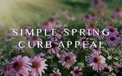 Simple Spring Curb Appeal